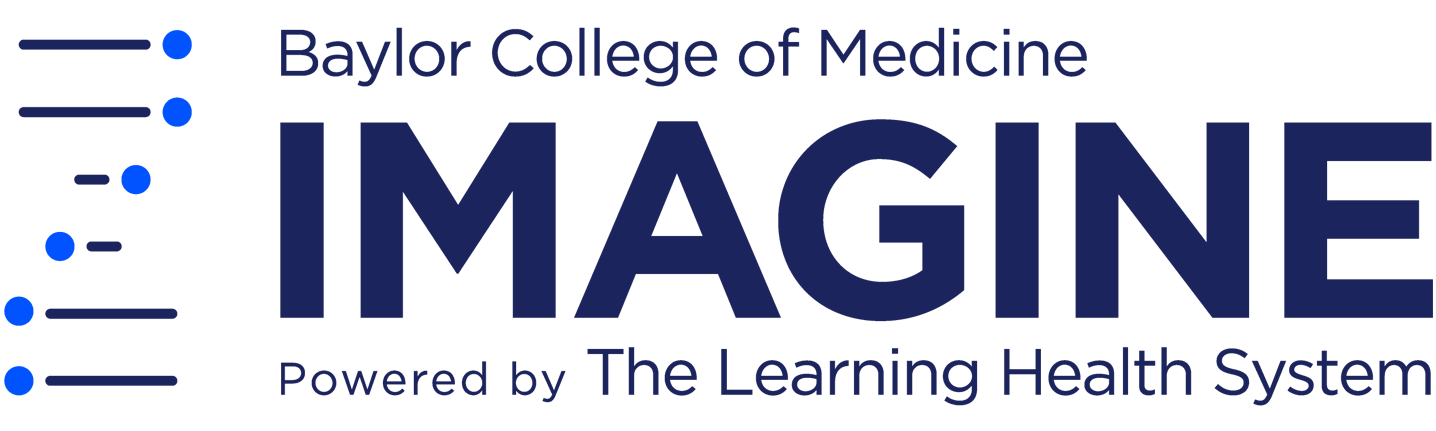 IMAGINE Research Program