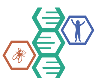 Project logo