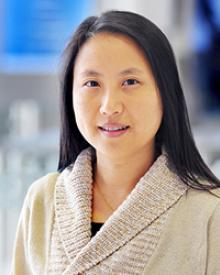 Yi Han, Ph.D.