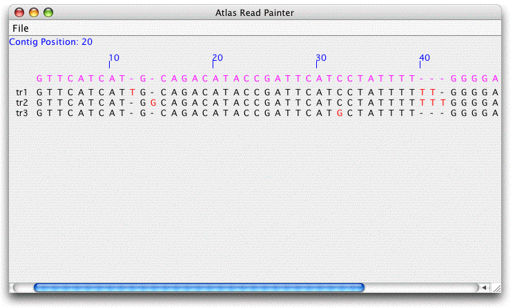 Image of computer screen with example of atlas-readpainter